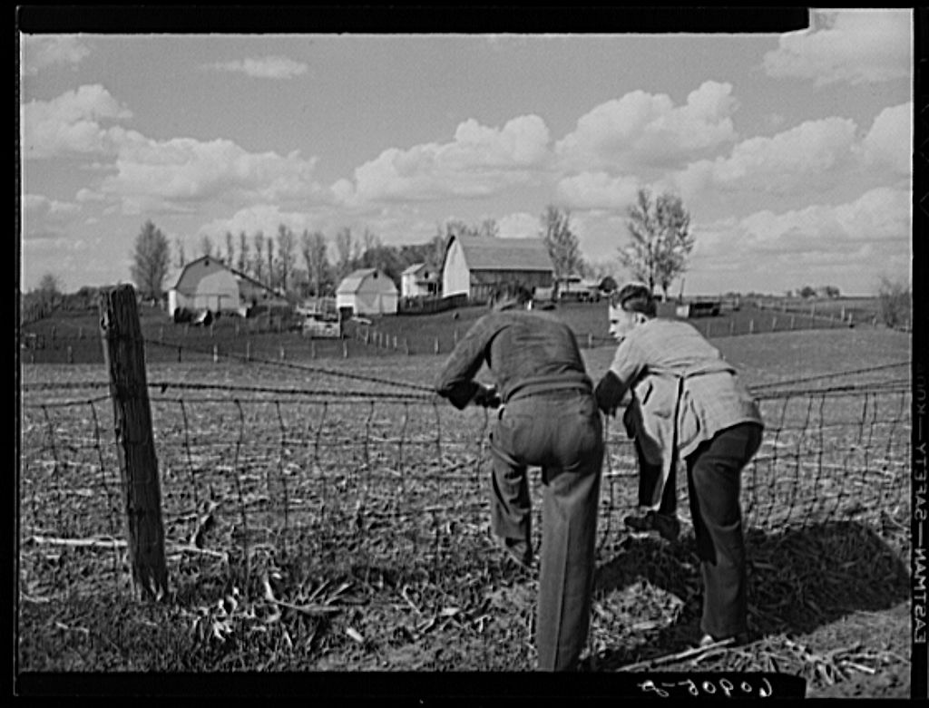 Iowa corn farm
